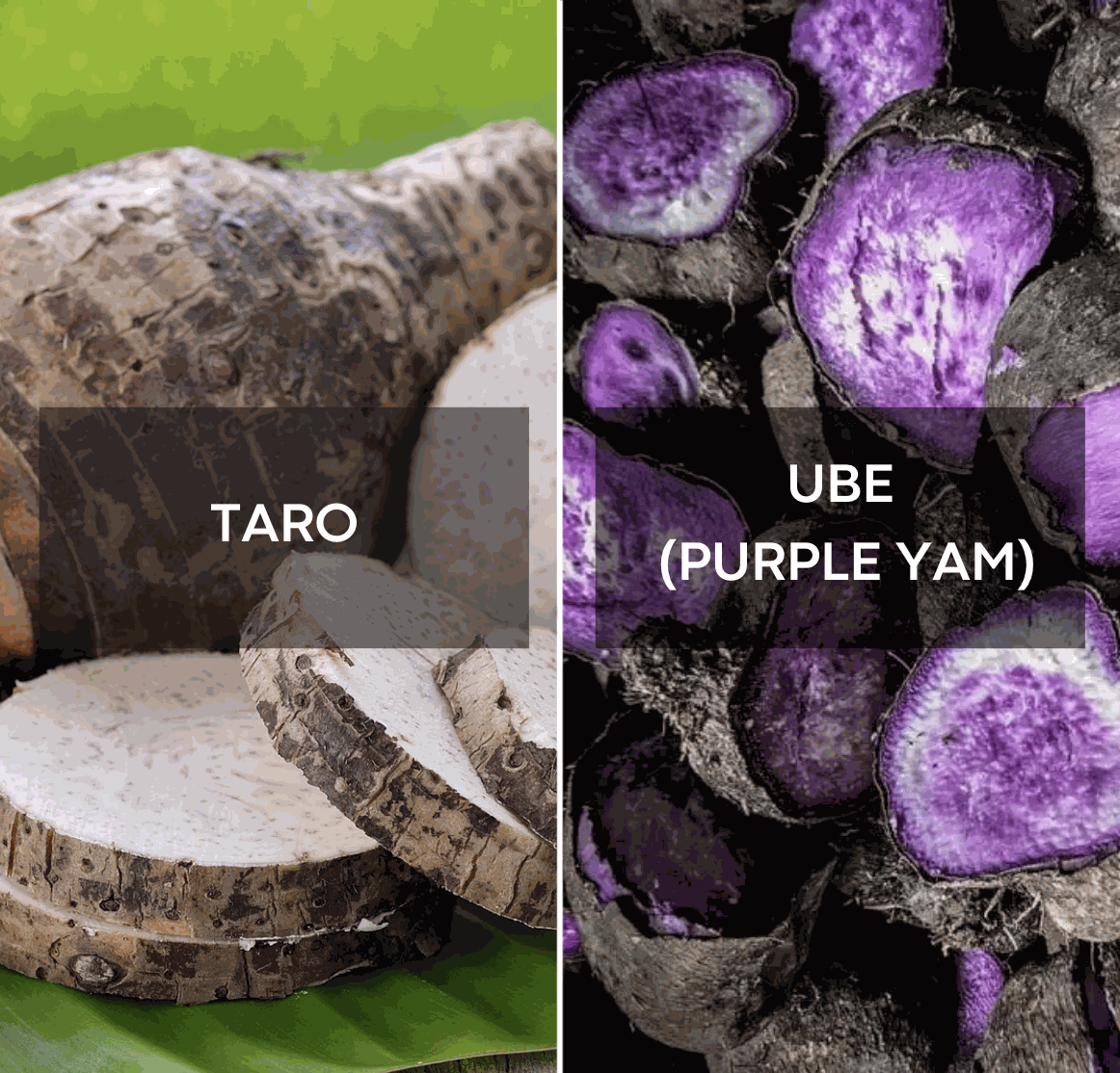 Ube vs Taro: ¿Cuál es la verdadera diferencia?
