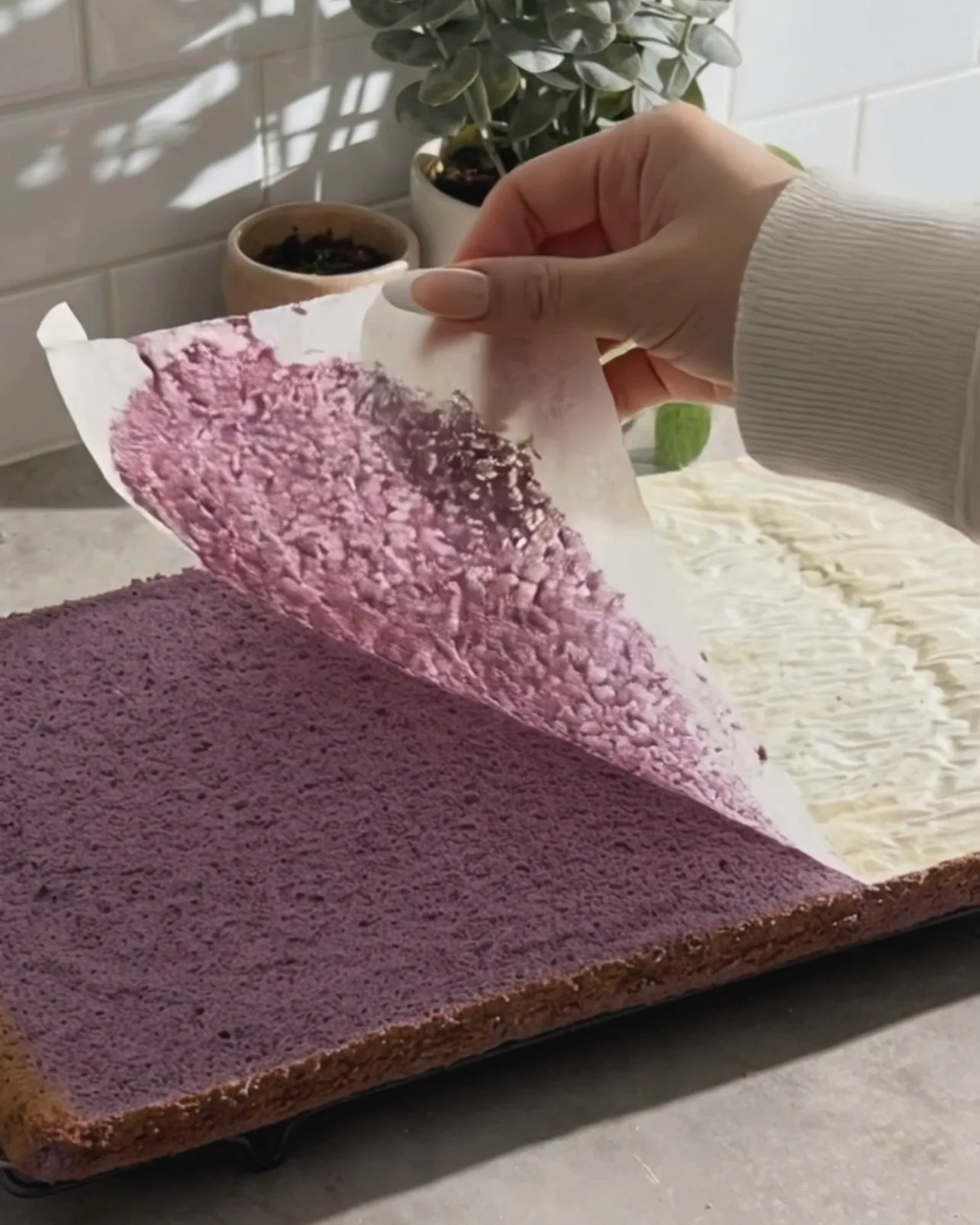 Despegando el papel de horno de una lámina de bizcocho chiffon de ube morado recién horneada de Ube Nolia
