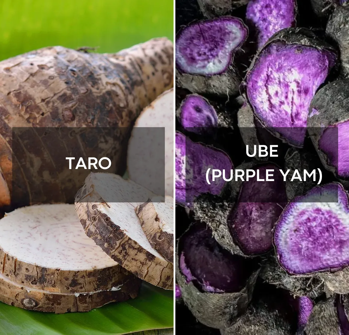 Comparativa ube vs taro: polvo de ube violeta | Ube Nolia